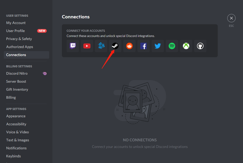 link Steam with Discord