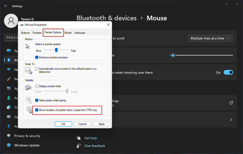 enable mouse pointer