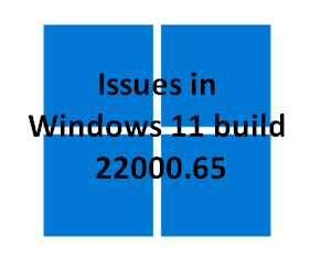 Issues in Windows 11 build 22000.65