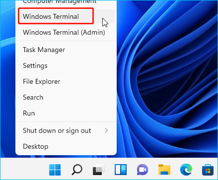 select Windows Terminal