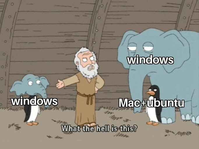 what the hell is Windows 11