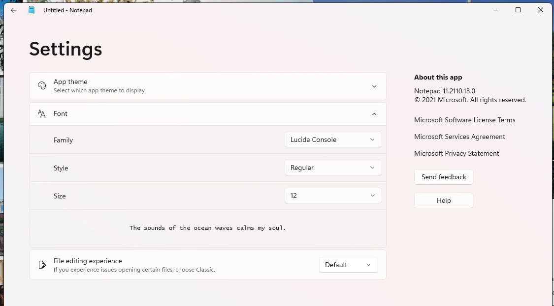 Windows 11 Notepad Settings