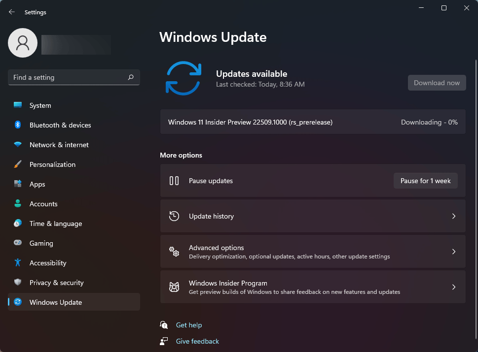 Windows 11 Insider Preview 22509.1000 (rs_prerelease)