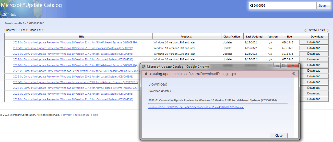 Windows 10 KB5009596 from Microsoft Update Catalog