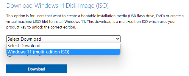 download Windows 11 ISO file