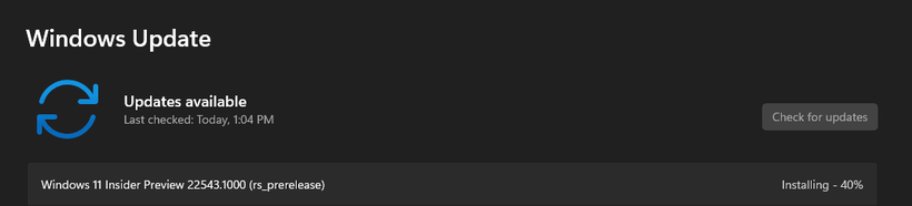 Windows 11 Insider Preview 22543.1000