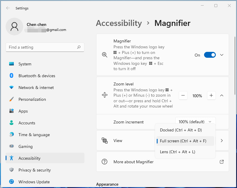 Windows 11 Magnifier settings