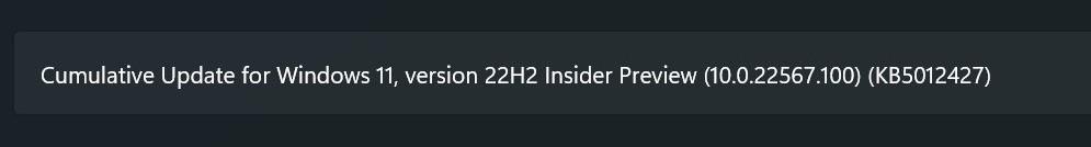 Windows 11 version 22H2 Insider preview build