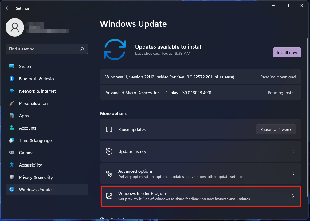join Windows Insider Program dev channel