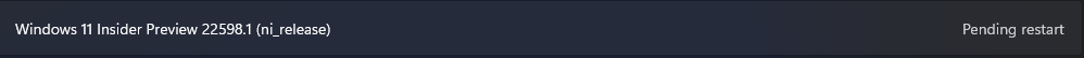 Windows 11 Insider Preview 22598.1 (ni_release)