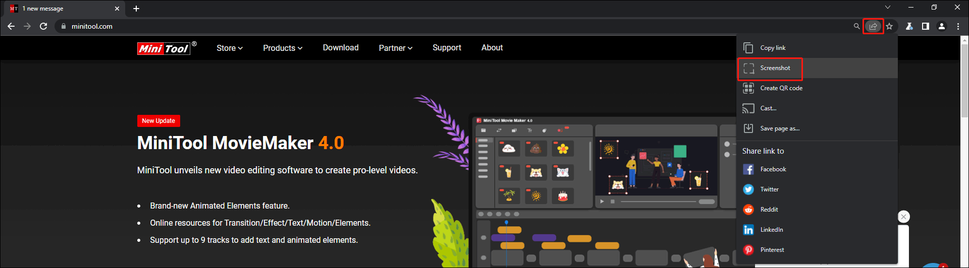 click Screenshot from the dropdown menu
