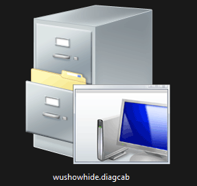 downloaded wushowhide.diagcab