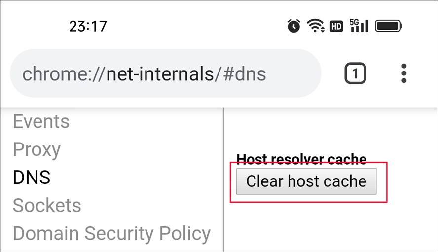 clear host cache in Chrome on mobile 