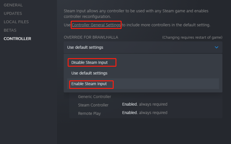 hit Disable Steam Input