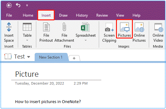 How to Easily Insert Images in OneNote on Windows - MiniTool