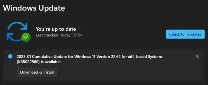 download and install Windows 11 KB5022360 in Windows Update