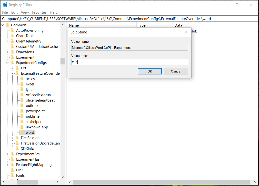 edit Registry to enable Copilot for Word