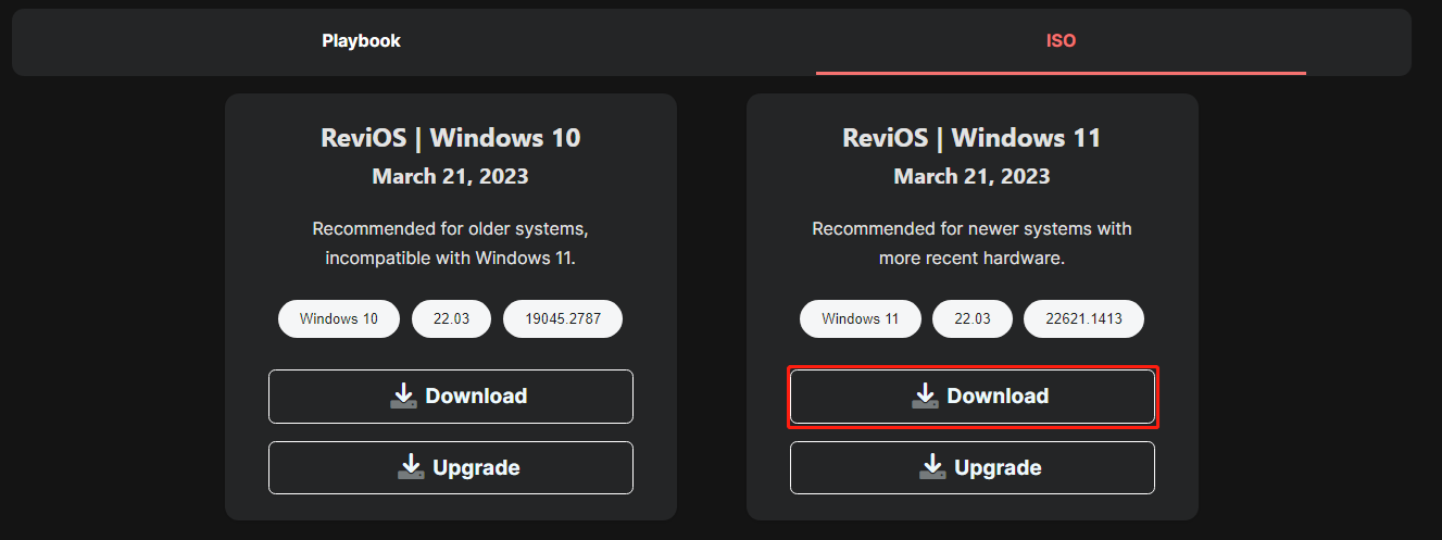 Windows 11 ReviOS 22H2 download