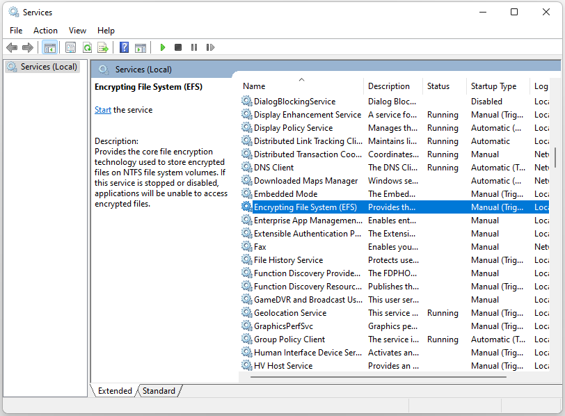 find Encrypting File System (EFS)