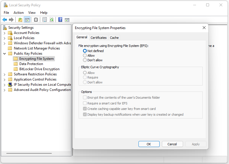 right-click Encrypting File System to choose Properties