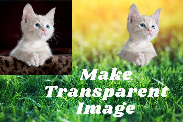 4 Tips on How to Make Image Transparent