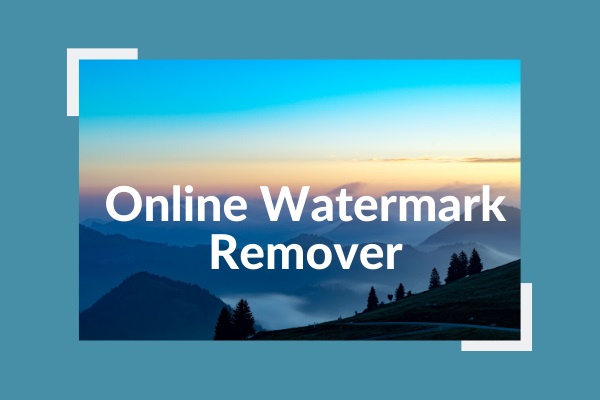 Top 5 Online Watermark Removers to Get Rid of Watermarks