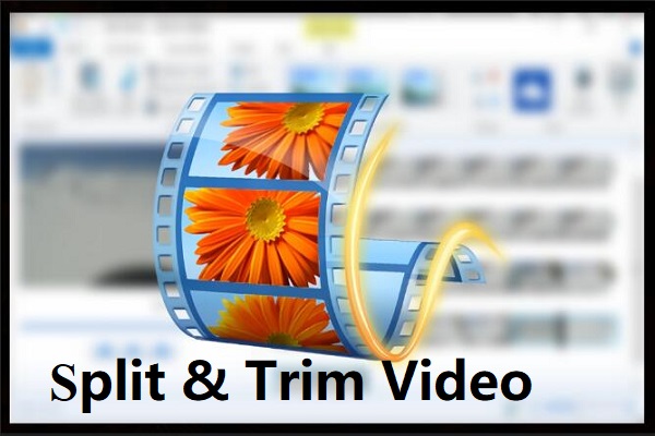 Cómo dividir y recortar vídeo en Windows Movie Maker (Guía)