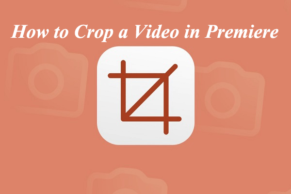 How to Crop a Video in Premiere – A Step-by-Step Guide