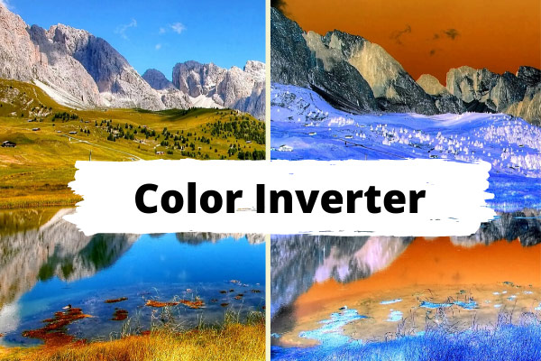 Top 3 Color Inverters to Invert Colors Easily