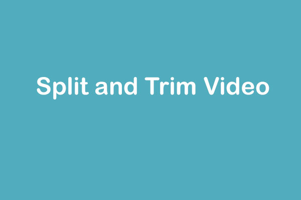 How to Split and Trim Video in Windows Movie Maker (Latest Guide)
