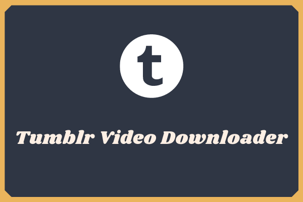 Top 6 Best Tumblr Video Downloaders of 2024