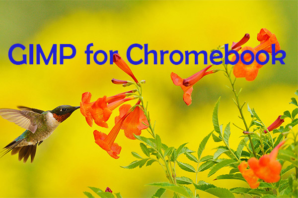 GIMP for Chromebook – The Best Alternatives for Chromebook