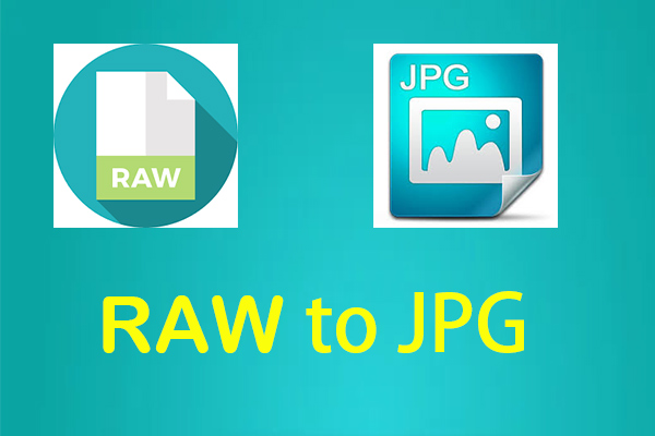 The Best RAW to JPG Converters for You!