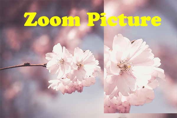 How to Zoom Picture? Here’re 5 Image Zooming Applications.