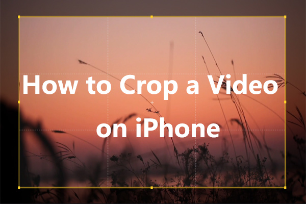 Comment rogner une vidéo sur iPhone? Top 3 des méthodes