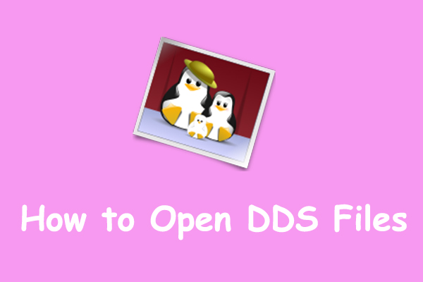 How to Open DDS Files on Windows? – Solved