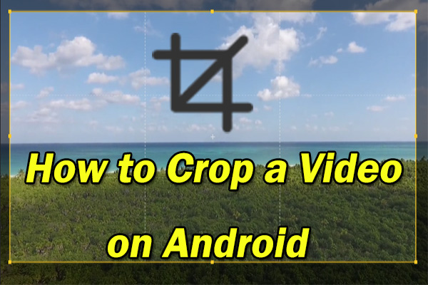 Solved – How to Crop a Video on Android