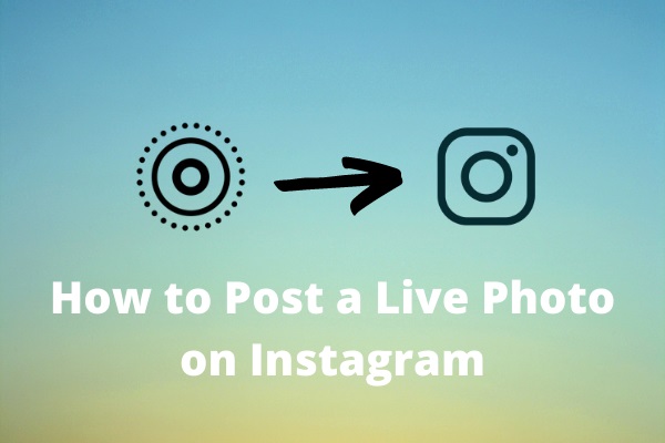 How to Post a Live Photo on Instagram? 3 Different Methods