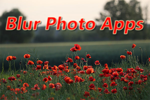 Top 5 Blur Photo Apps to Blur the Background of Your Photos
