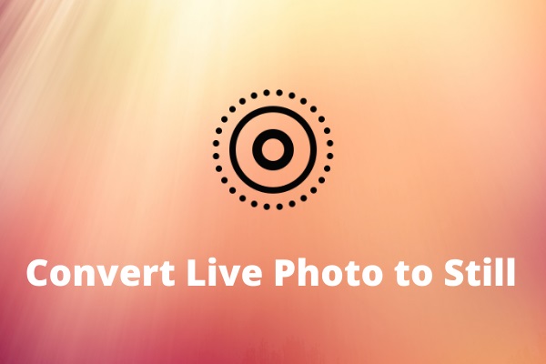 How to Convert Live Photo to Still Easily? The Ultimate Guide
