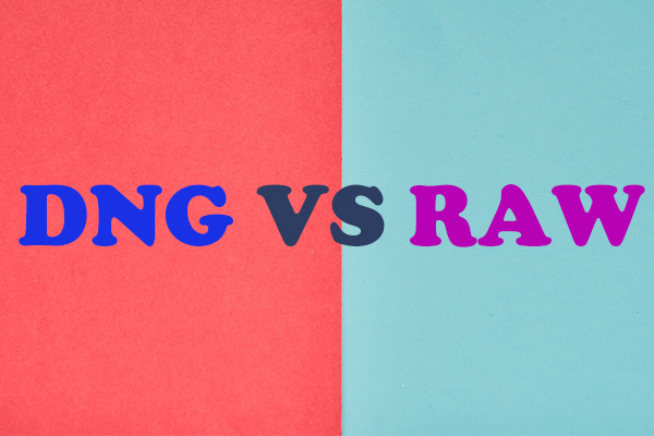 DNG Vs RAW: What Is the Difference and Why It Matters