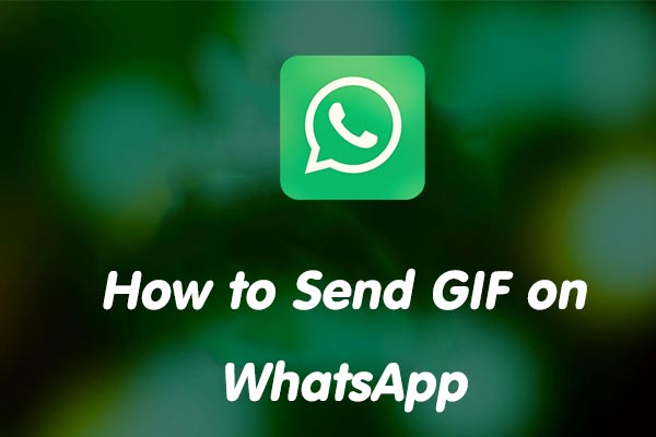 How to Send a GIF on WhatsApp - Technipages