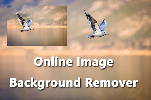 Top 7 Useful Online Image Background Removers You Can Try