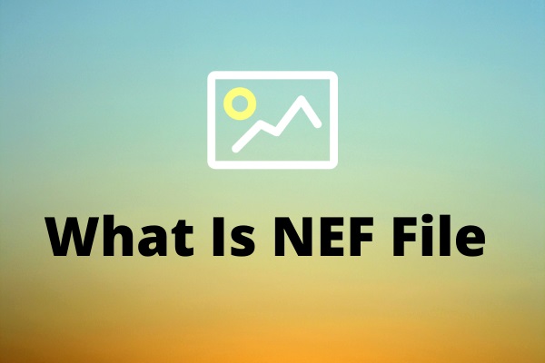 What Is an NEF File and How to Open It?