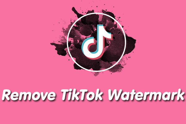 完全ガイド:TikTokの動画からウォーターマークを除去する方法