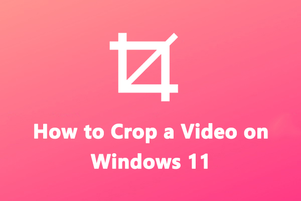 How to Crop a Video on Windows 11/10? Here’re 5 Ways