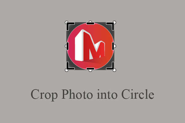 [2 Ways] How to Circle Crop Photo by Office Apps (Word)?