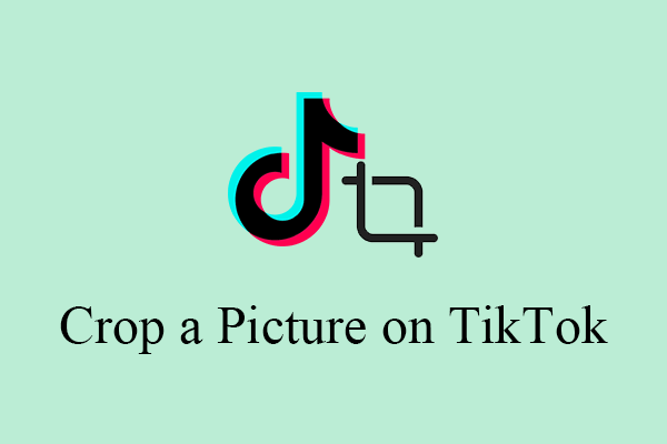 [Look] How to Crop a Picture on TikTok & Photo Crop Challenge