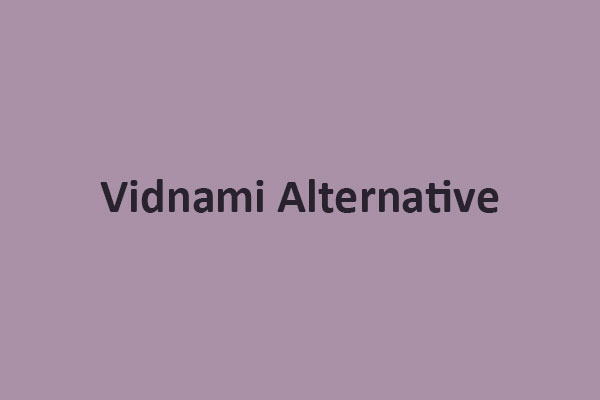 Top 6 Reliable Vidnami Alternatives in 2024