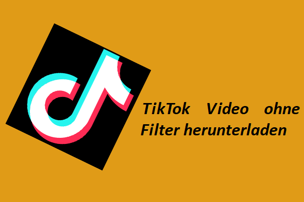 [Gelöst] Wie lade ich ein TikTok-Video ohne Filter herunter?